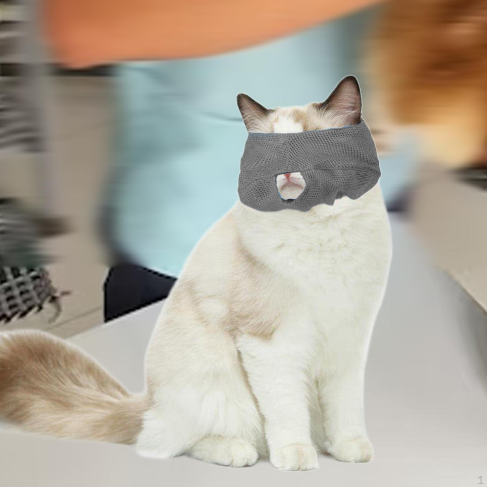 

Патч-маска для кошачьих глаз, защита от укусов, отличная защита, легко надевать и снимать собаку S and grey