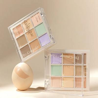 Pro Concealer Palette