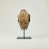 Turtle Carapace on Stand Tabletop Decor Antique-Vintage-Look Bone