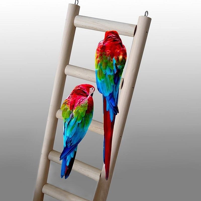 

New Wooden Ladder Parrot Bird Pet Budgie Rodent Hamster Mouse Gerbil Cage Toys 9x20cm