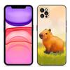 Cute Cartoon Capybara Phone Case For Apple iPhone 12 13 Mini 11 14 15 Pro Max 7 8 Plus X XR XS SE 2020 2022 Black Silicone Case