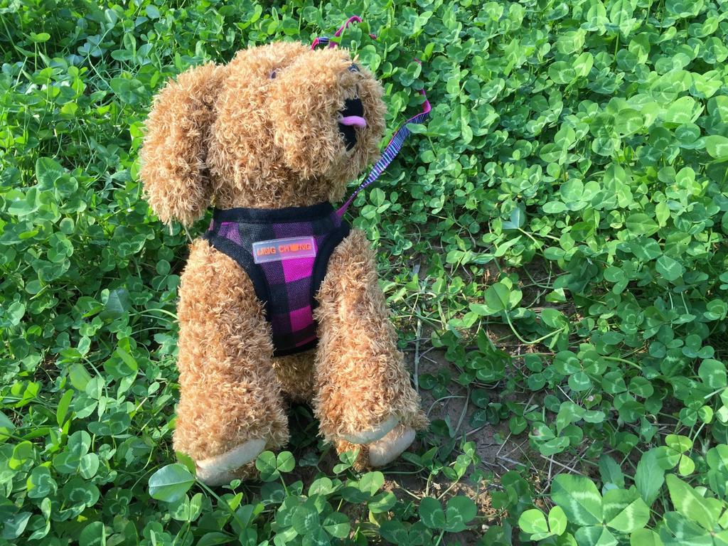 Dog Print Protective Harness Vest