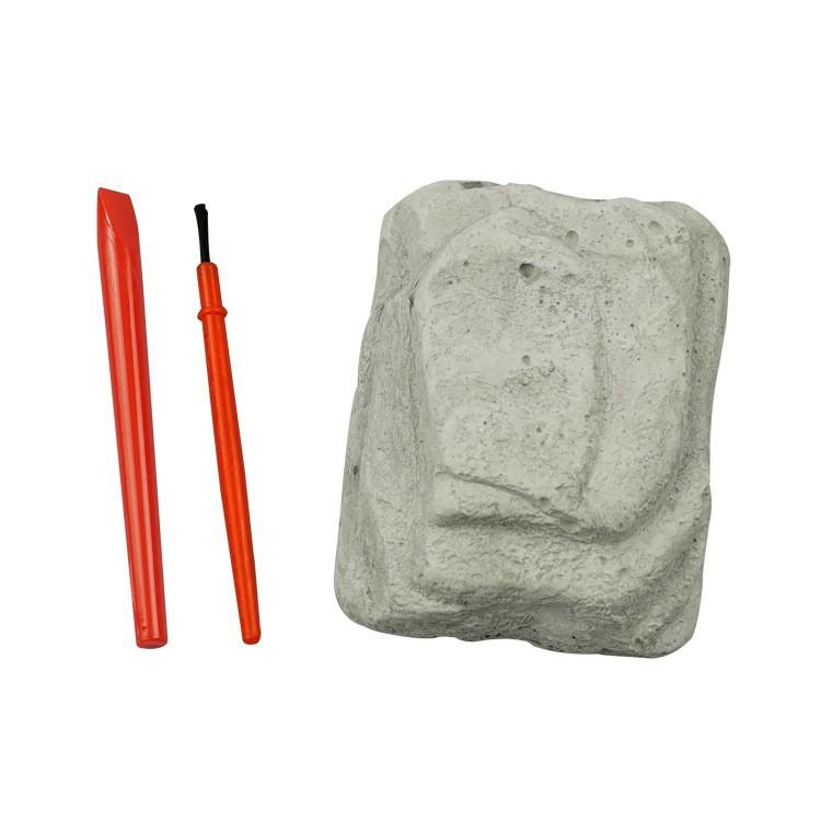 

DIY Окаменелости динозавров Копание скелетов Копание археологических драгоценностей Детский научный эксперимент Окаменелости динозавров Самодельные учебные материалы лаймовый/белый