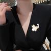 Broșe și accesorii pentru corp
