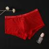 Men Underpants  Sweat Absorbing Sweat-wicking Transparent Men Clothing Nylon Men's Underwear  Boxers Daily Wear