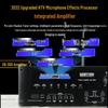 Songchuan SP101 Professional Home KTV Karaoke System CN Plug (adapter Included) (CN Version)