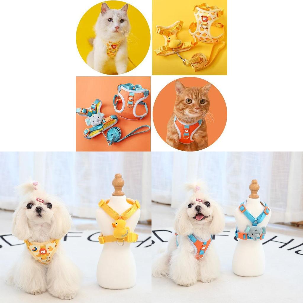 Pet Cat And Dog Harness Set With Nylon Material For Small And Medium Pets Suitable For Outings And Walks