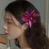 Haar-Accessoires – Haarklammern