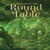 Realms of the Round Table by John Matthews Hardback Book 9780008644031