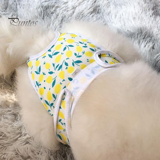 Pantaloni menstruali pentru animale de companie Chiloți sanitari ajustabili pentru câini Pantaloni fiziologici confortabili, rezistenti la scurgeri, pentru animale