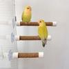 Fågel Sittpinne Gunga Molar Stativ För Papegojor Conure Tillbehör Undulater Slipande Klösträd För Små Medelstora Papegojor Leksak