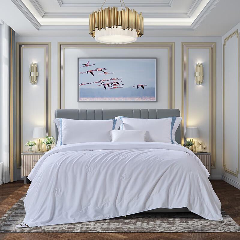 

Fuanna Qingyan Tussah Silk Blend Summer Quilt 203x229cm