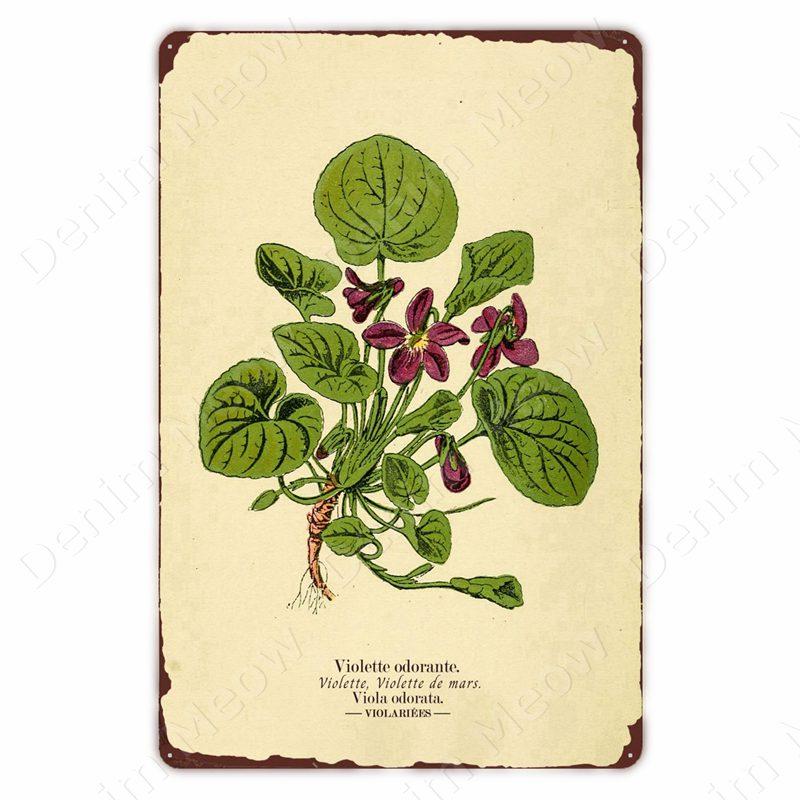 VintageWildFlowersMetalSign Vintage Metal Tin Sign - Wild Flowers Plant Herbarium Art Plaque, Kitchen/Home Wall Decor