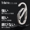 KeyUnity Carabiner Keychain Titanium KM08 S-shaped Carabiner Silver Double End