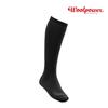 [WOOLPOWER] Wool Socks 400 High (8484)