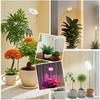 LED Grow Light Ring Full Spectrum Plug In Ground USB For Height Adjustable Indoor Balcony Greenhouse Grow Plant Light Grow Light