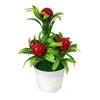 Artificial Plant Fruit Bonsai Garden DIY Wedding Party Office Home Desktop Decor