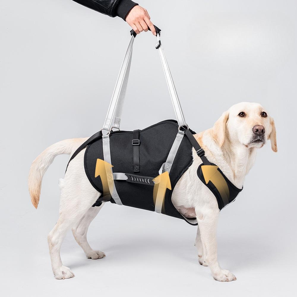 Imbracatura di Sollevamento Regolabile per Cani, Fascia di Supporto per Zampe Posteriori per Cani di Taglia Grande, Ausilio per Anziani, Infortunati, Disabili e Post-Chirurgia ACL