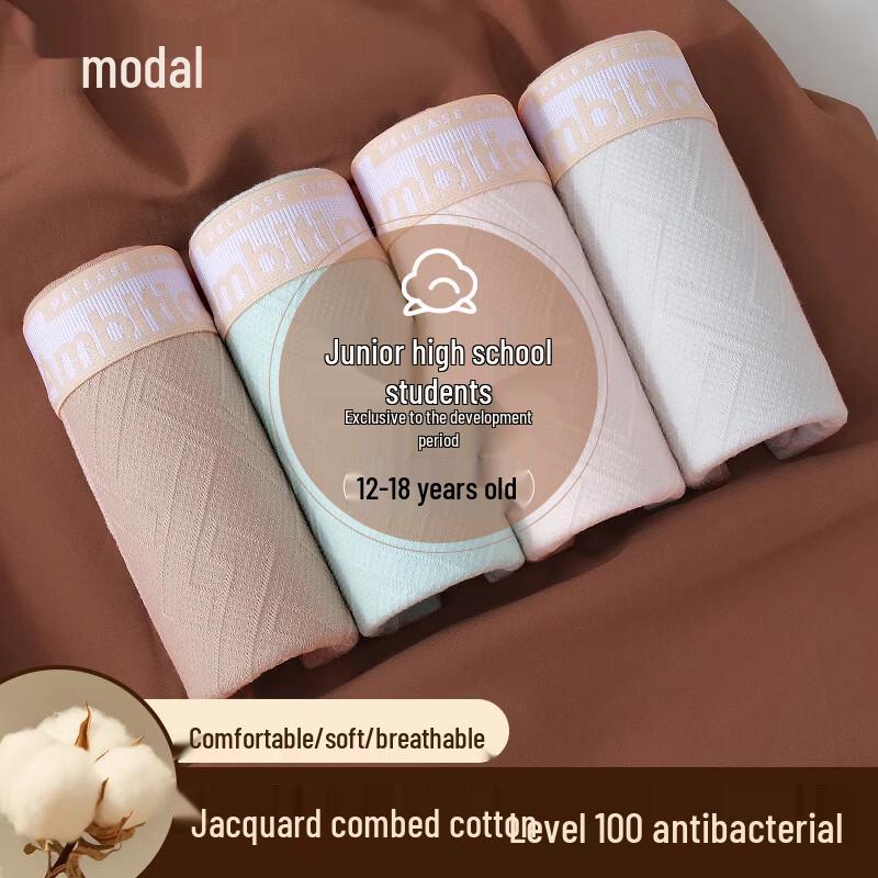 Teen Boys Modal Cotton Antibacterial Boxer Briefs 3XL