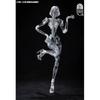 Null 1 12 Ai Agent mAiden Type C1 Transparent Ver. Movable Figure Body