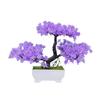 Plumosus Apargus Baker Plastic Faux Bonsai For Indoor Decoration Tabletop