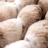 1PC Winter Thickened Sofa Cover Warm Plush Pet-friendly Sofa Towel Mat Non-slip L corner Couch Slipcover for Living Room 