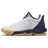 LeBron 16 Low Ep 'Dream Team' Sneakers CI2669-101