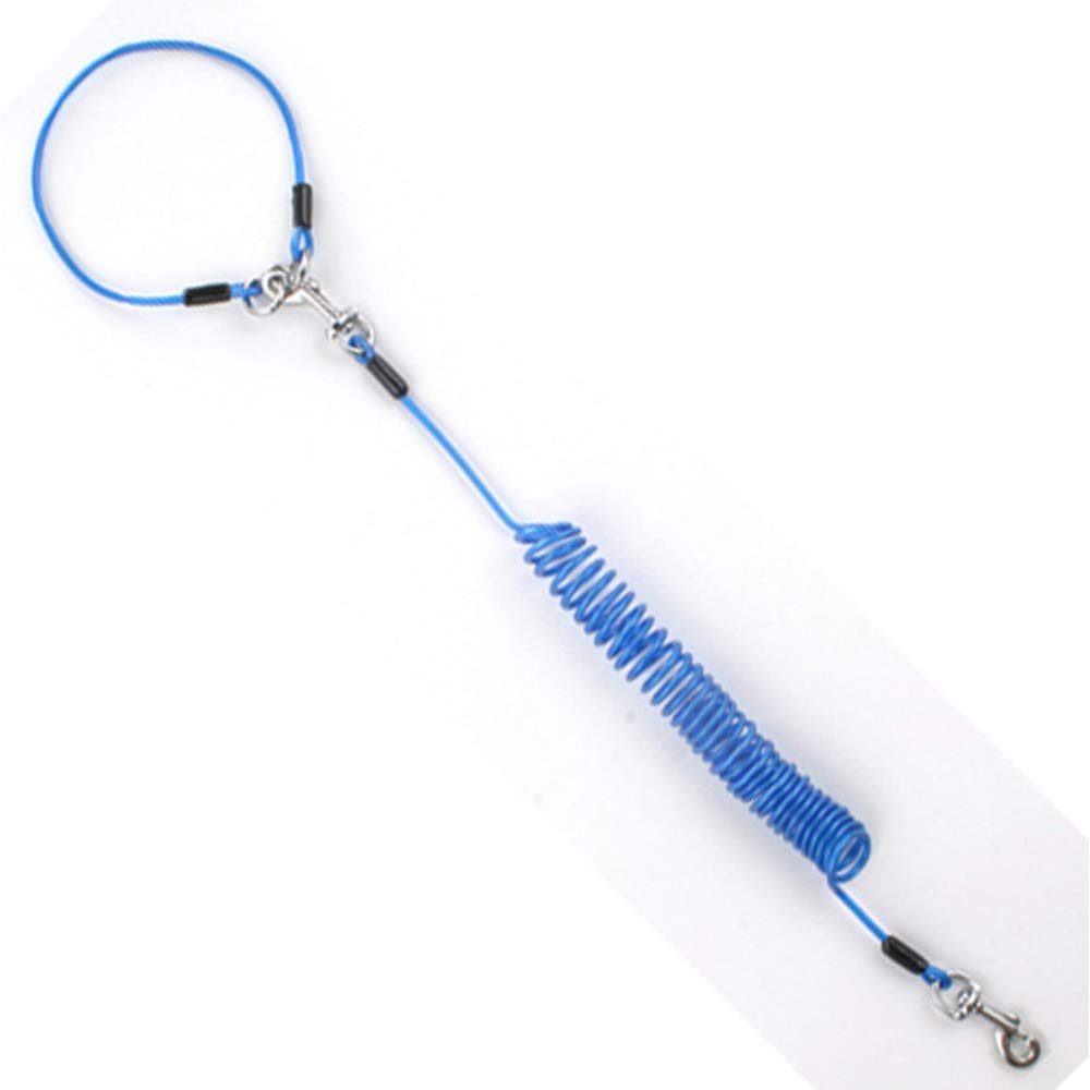 Doggyman Extendable Flex Cable, Blue, 4.0m
