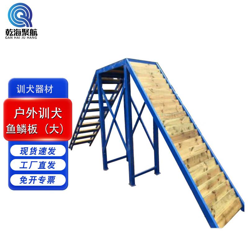 Professional Outdoor Dog Training Equipment