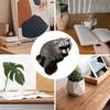 Animal Model Simulation Raccoon Model Realistic Simulation 3D Raccoon Raccoon Figure  Photo Props