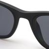 Sunglasses RB4391D BLACK 65 Ray-Ban