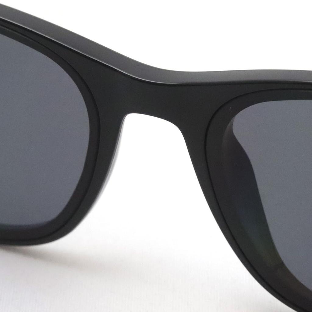 Sunglasses RB4391D BLACK 65 Ray-Ban