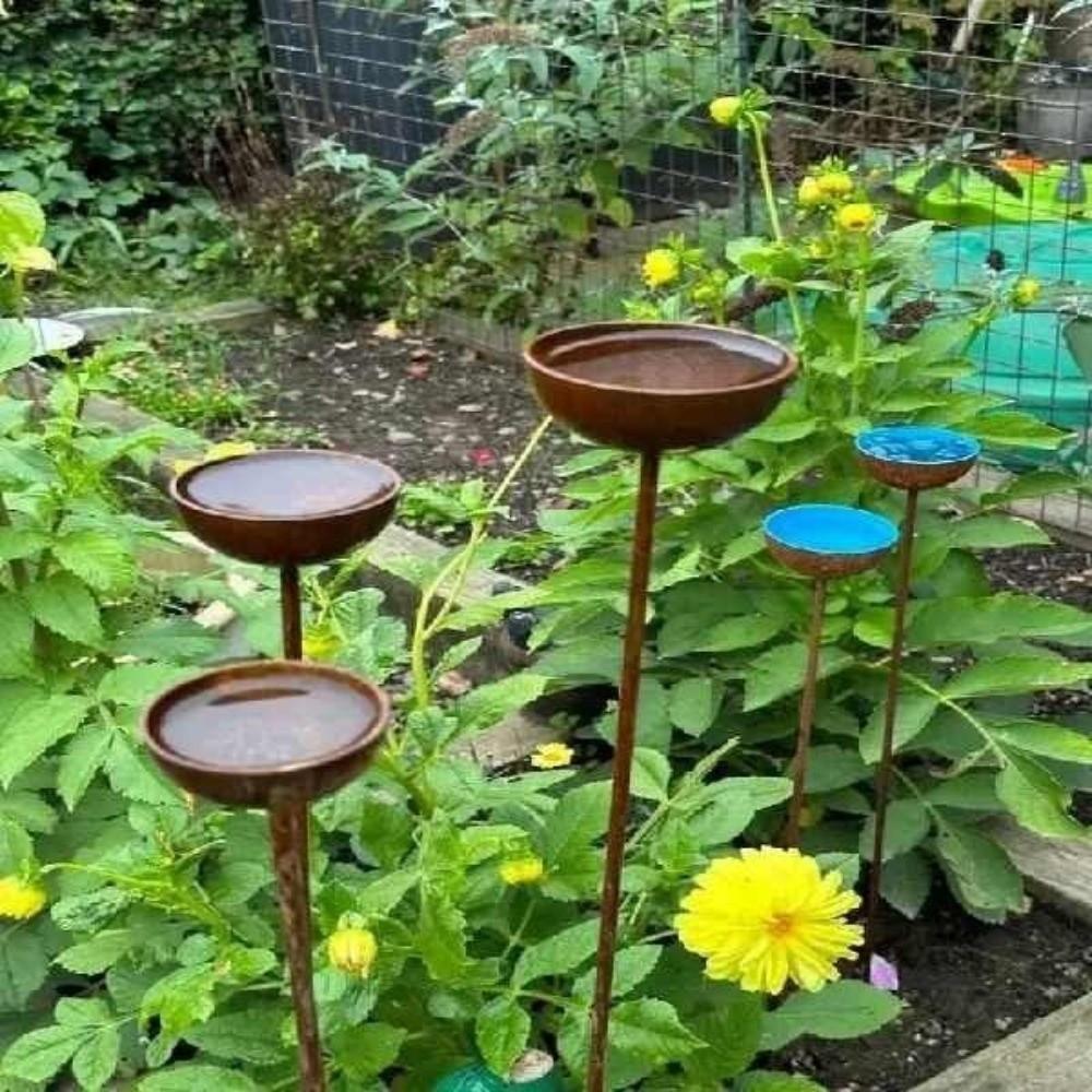 Vintage Weathered Rain Collectors Long Stem Rusty Bird Feeder Metal Bird Bath  Outdoor Garden