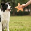Jouet pour animal de compagnie en forme d'étoile Jouet doux pour chien avec papier bruissant intégré Jouet à mâcher Soulagement de l'ennui Résistant aux morsures Dressage de chiot