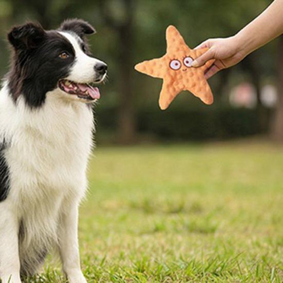Jouet pour animal de compagnie en forme d'étoile Jouet doux pour chien avec papier bruissant intégré Jouet à mâcher Soulagement de l'ennui Résistant aux morsures Dressage de chiot