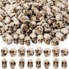 Mini Skull Figurine Miniature Skeleton Head Table Decor Micro Landscape Figure Halloween Prank Props Haunted Dollhouse Decor