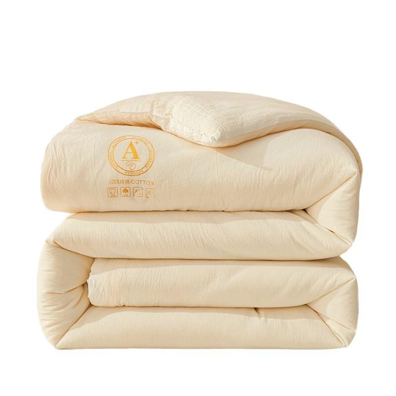 Brangdy Winter Warm Soybean Fiber Quilt