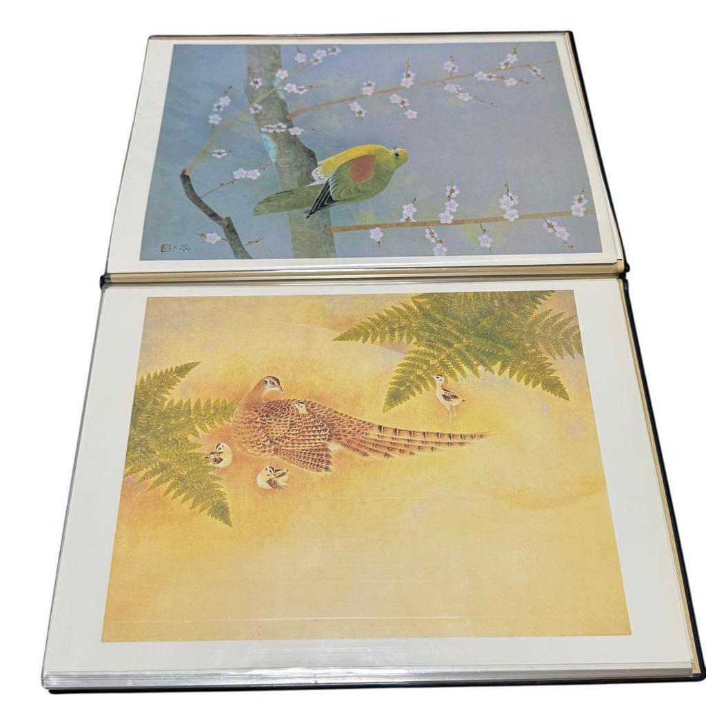 [USED] A Collection of 36 Japanese Paintings by the Great Masters, Including Shoko Uemura, Toshio Matsuo, and Others