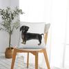 Dachshund Dog Pupy Pillow Case Wiener Sausage Doxie Cushion Cover Fashion Zippered Decorative Pillowcover for Home 4040cm