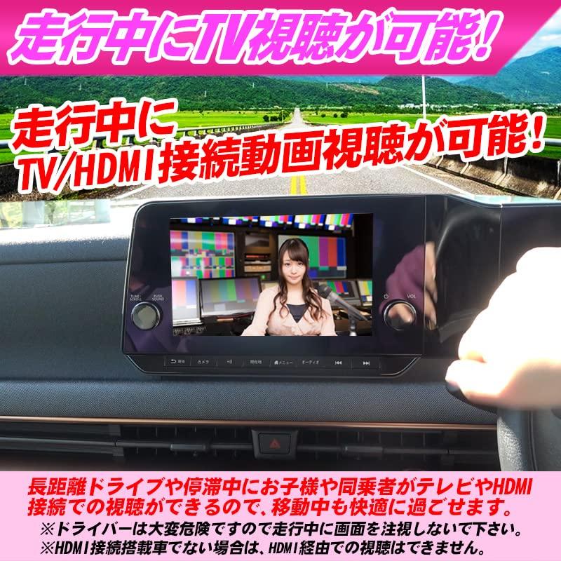 Sakura compatible canceller (Nissan) TV/navigation