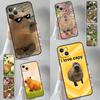 Capybara Cute Phone Case For iPhone 16 15 11 12 13 14 Pro Max X XR XS Max 6 14 Plus Soft Cover