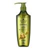 Schwarzkopf Ginger Essence Oil Control Shampoo 600ml