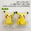 Check Out the New Pokemon Tail! Stuffed Toy Pikachu 2 Types Set