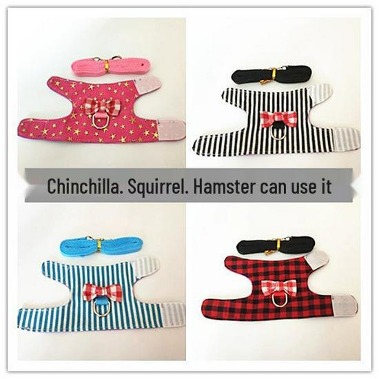 Adjustable Leash and Harness for Small Pets: Rabbit, Chinchilla, Ferret, Squirrel, Hamster, Guinea Pig, Mouse