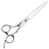 Gangfu Professional Japanese Hairdressing Scissors