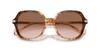Coach Sunglasses HC8377U CL925 CARAMEL SNOW TORTOISE GRADIENT 55 Women's