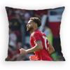 Matheus Cunha Pillow Case Antidustmite Pillowcase Invisible zipper silky Sofa cushion cover for bedroom