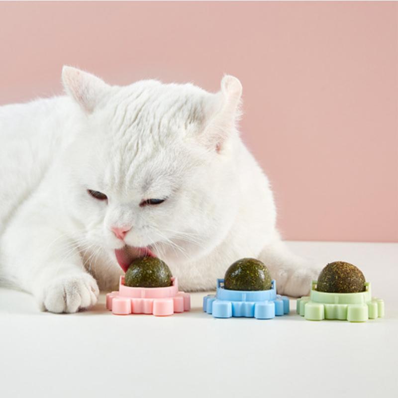 Pet Catnip Toys Edible Nature Mint Ball Safety Healthy Rotatable Cat Chasing Game Toy Clean Teeth Product with Box