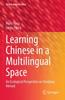 The Learning Chinese In a Multilingual Space : An Ecological Perspective On Studying Abroad : 41 Book