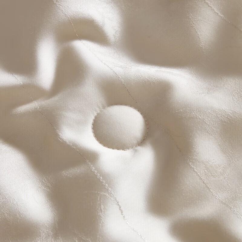 Mengjie All-Season Silk Blend Quilt